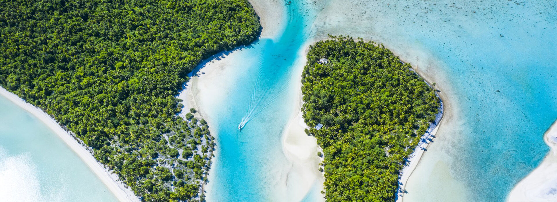 CI 1703 large agent hero0